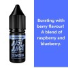 Just Juice Salts - Blue Raspberry