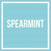 Spearmint Flavoured E-Juice